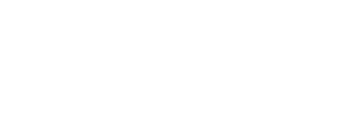 Logo diamante bianco